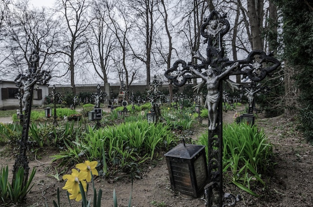 Cimetière aux croix de fer