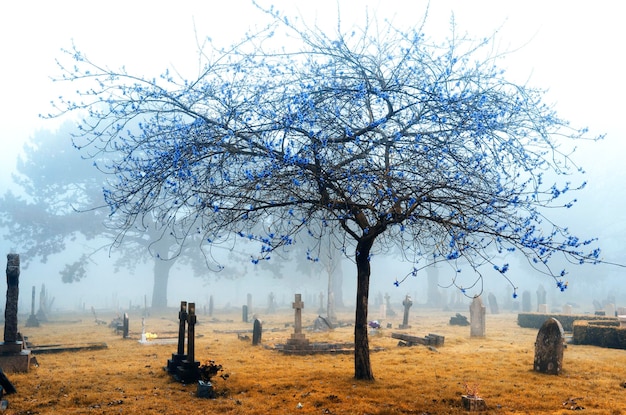 Cimetière brumeux infrarouge