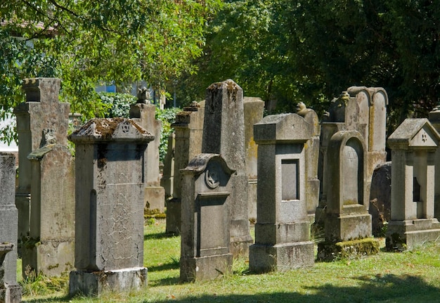 Photo cimetière juif dans une ambiance ensoleillée