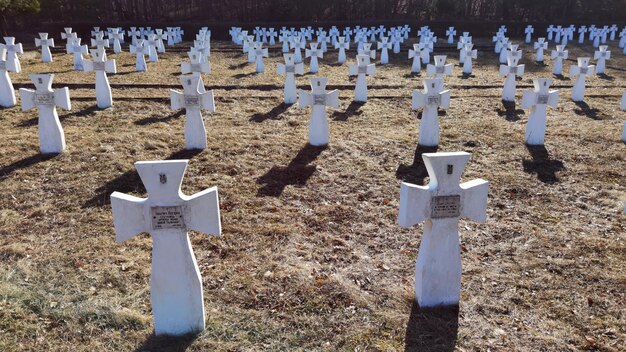 Cimetière militaire des soldats ukrainiens de la 1ère division galicienne