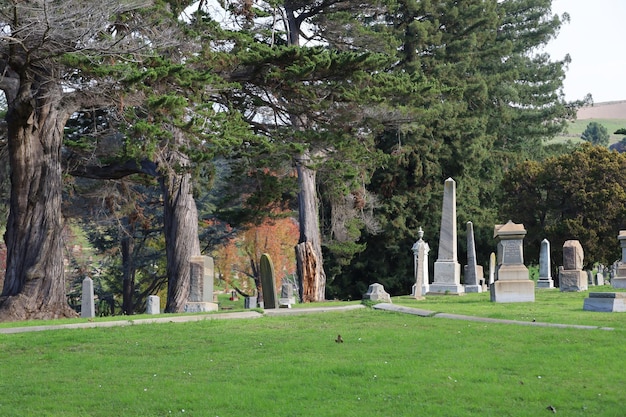 Cimetière de vue sur la montagne à Oakland en Californie