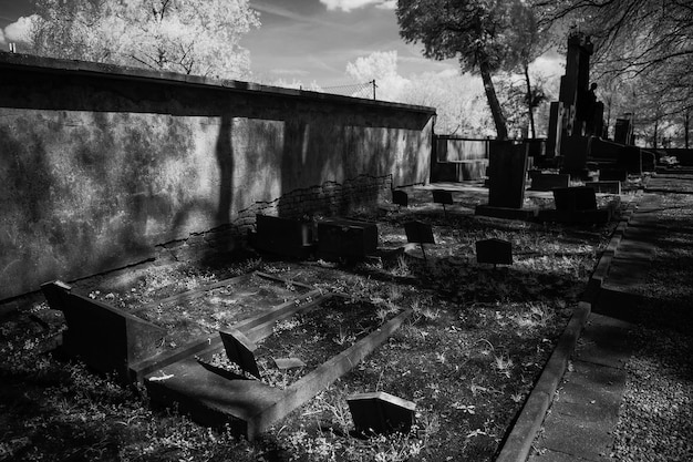 Photo cimetières au cimetière