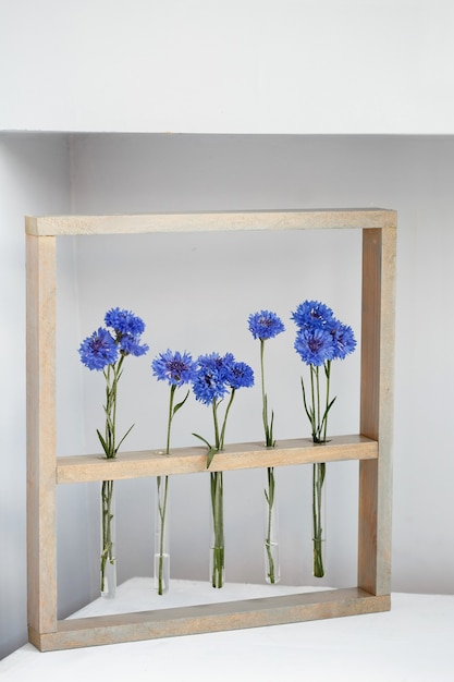 Cinq beaux bleuets bleus dans un petit vases dans un cadre en bois sur gris, simple cadeau de fleurs et décoration le jour de la Saint-Valentin