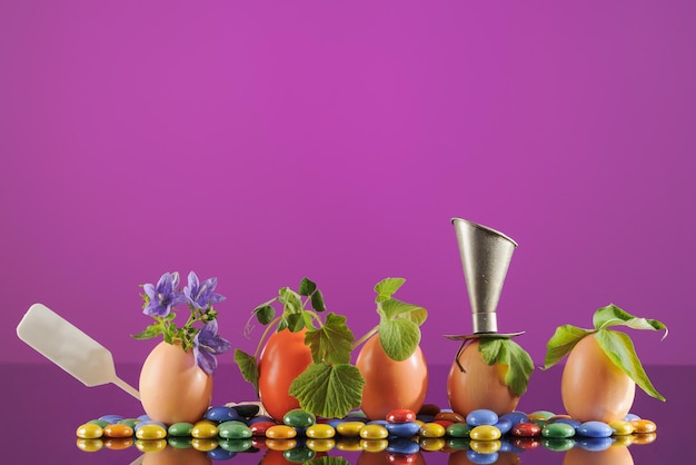 Cinq plants de semis biologiques dans les oeufs de Pâques sur fond violet Eco jardinage horizontal