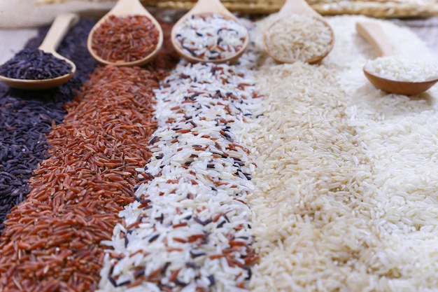 Cinq sortes de riz sur une cuillère en bois.