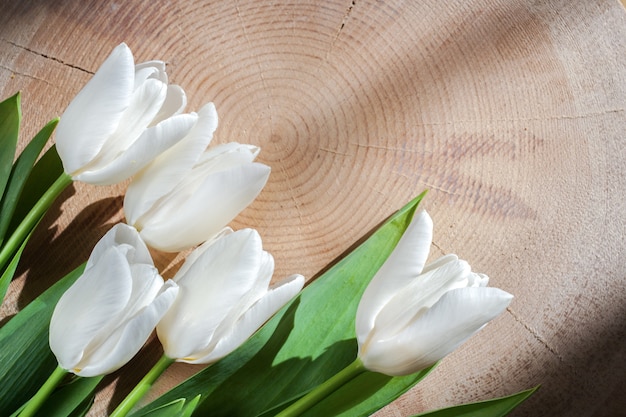 Cinq tulipes blanches se trouvent en bas à gauche sur un grand fond en bois scié transversalement