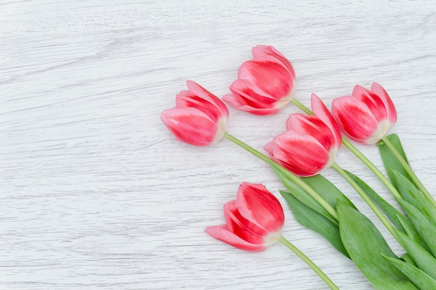 Cinq tulipes roses sur un bois clair