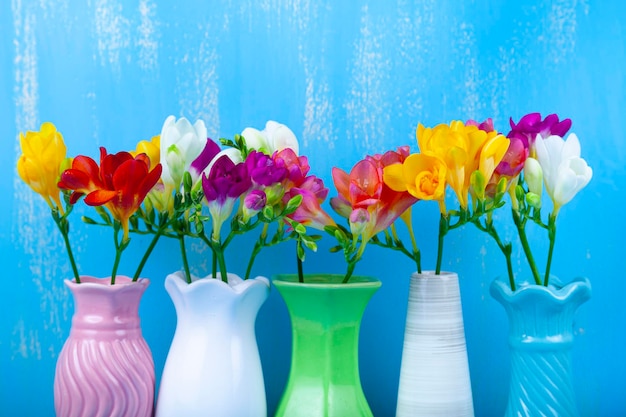 Photo cinq vases aux freesias sur fond bleu. belles fleurs.