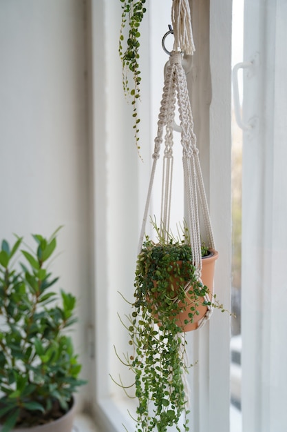 Cintre en macramé de coton fait à la main suspendu à la fenêtre du salon