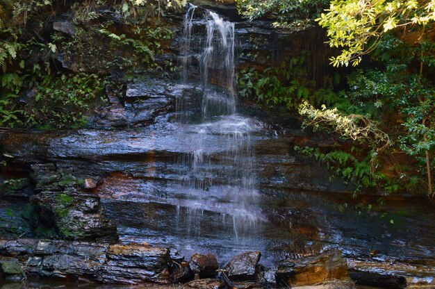 Photo le circuit de la cascade de south lawson