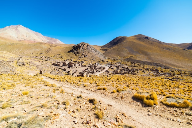 Circuit sur les hauts plateaux andins, sud de la Bolivie