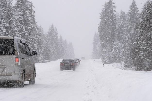 La circulation des voitures sur la route enneigée à travers la forêt pendant une forte neige