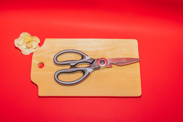 Ciseaux à tissu Outil parfait pour couper les tissus