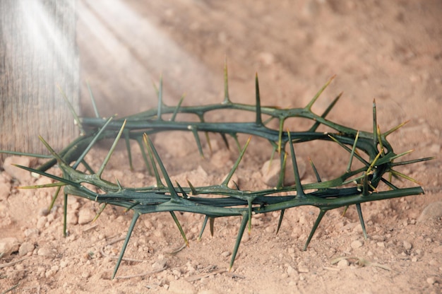 Citation de versets bibliques Donnez votre fardeau au Seigneur et il prendra soin de vous Avec un fond brillant de couronne d'épines