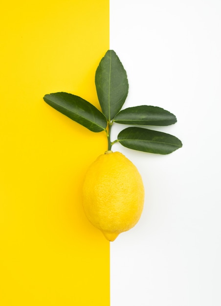 Citron et feuilles sur table colorée