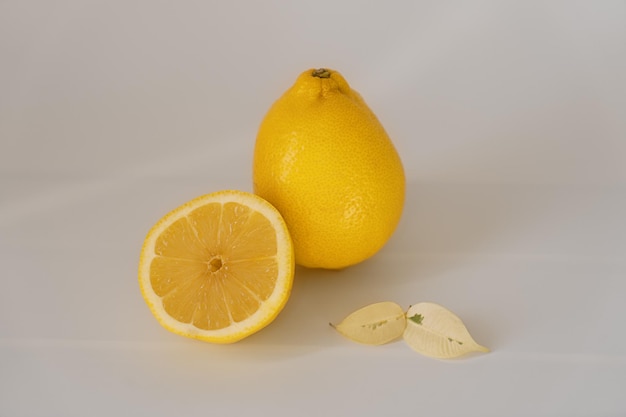 Citron sur fond blanc avec un espace vide