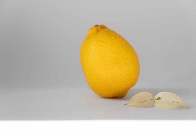 Citron sur fond blanc avec un espace vide