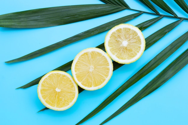 Citron frais sur des feuilles vertes sur une surface bleue