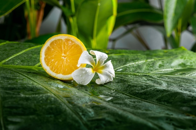 Citron frais juteux avec fleur de plumeria sur une feuille verte. Mode de vie sain et spa