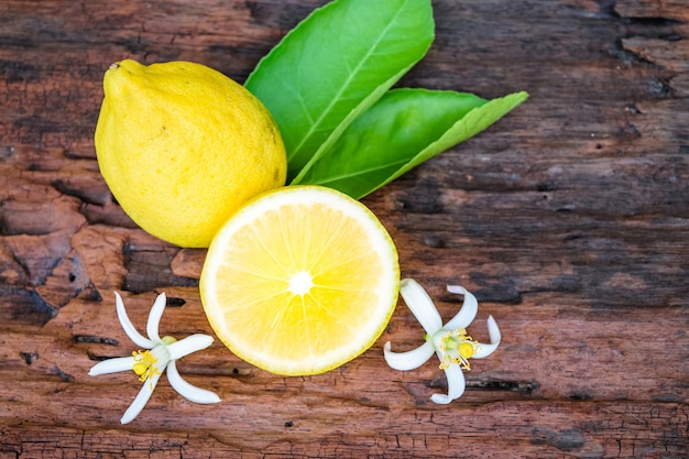 Photo citron frais