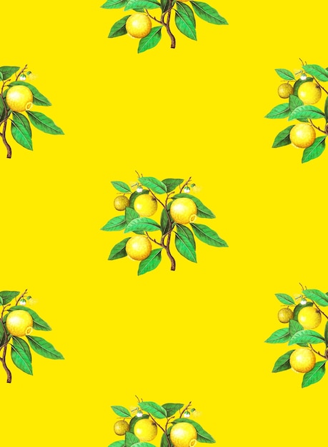 Photo citron avec un motif sans couture de feuille