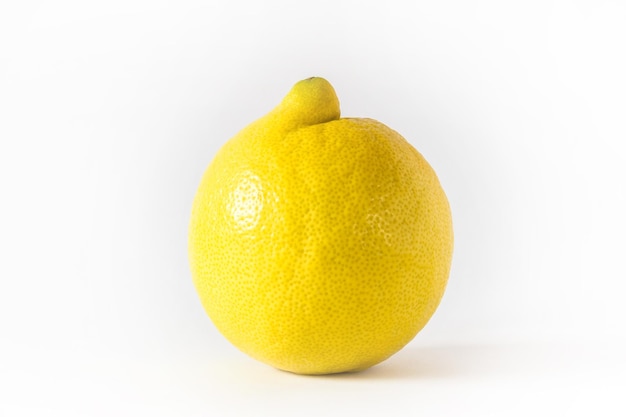 Le citron