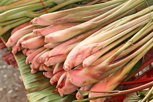 Citronnelle fraîche au marché