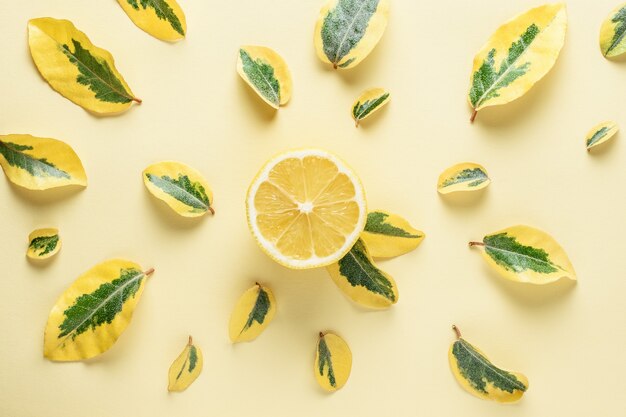 citrons et feuilles vertes isolés sur jaune