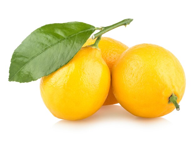 Citrons frais