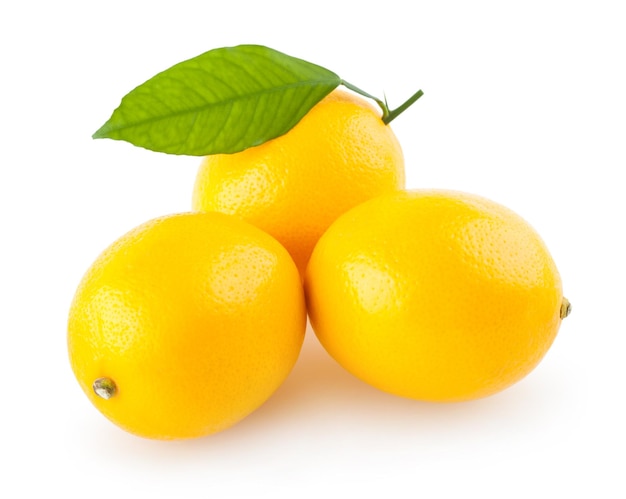 Citrons frais