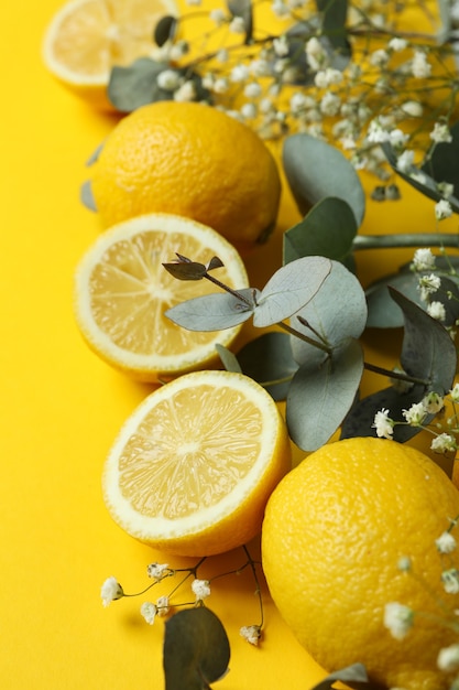 citrons et gypsophile isolés sur jaune