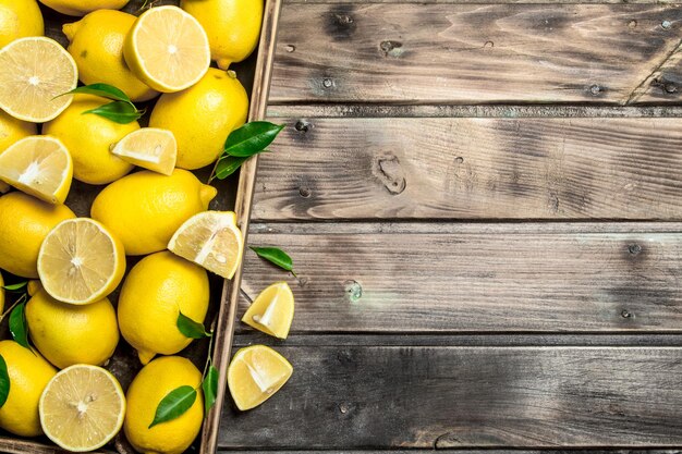 Citrons juteux avec des feuilles dans le bac