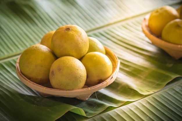 Citrons en vannerie sur feuille de bananier vert Fond de fruits sains