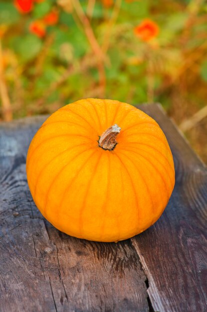 Citrouille d&#39;automne sur bois