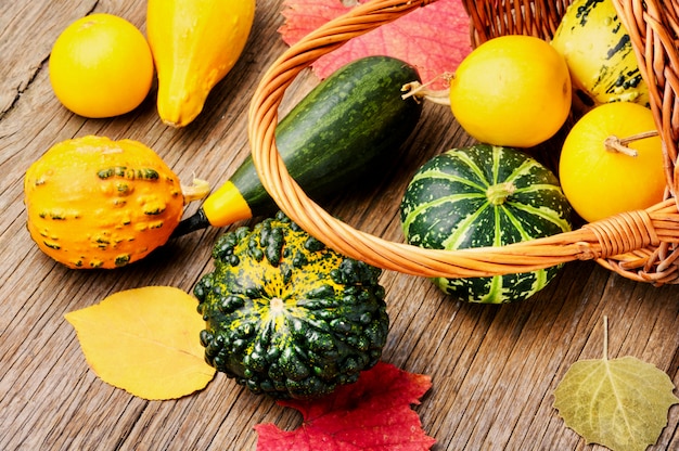 Citrouille d'automne dans le panier