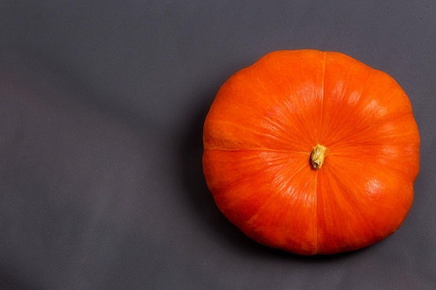 Citrouille d'automne orange sur fond noir, vue de dessus