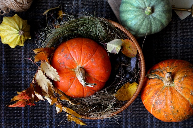 Citrouille d&#39;automne rustique