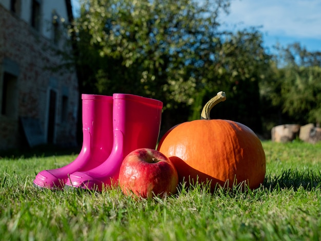 Citrouille, caoutchouc, bottes, herbe, cour, octobre