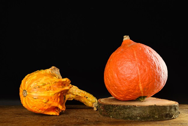 Citrouille comestible de la variété Hokkaido et courge