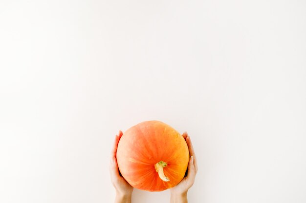 Citrouille dans les mains de la fille. automne plat