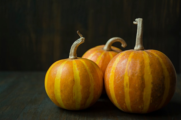 Citrouille décorative. Halloween Nature morte. Vue de côté.