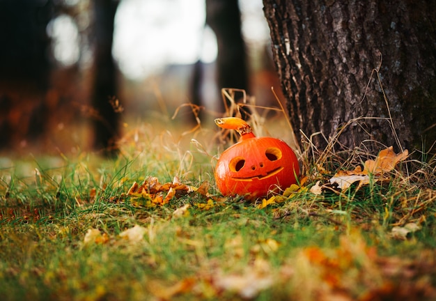 Citrouille drôle dans la forêt d'automne