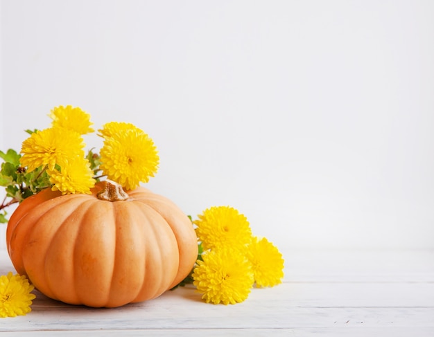 La citrouille est orange avec des fleurs jaunes et sur fond blanc. Frais et mûr