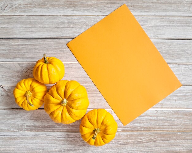 Citrouille avec feuille de papier orange