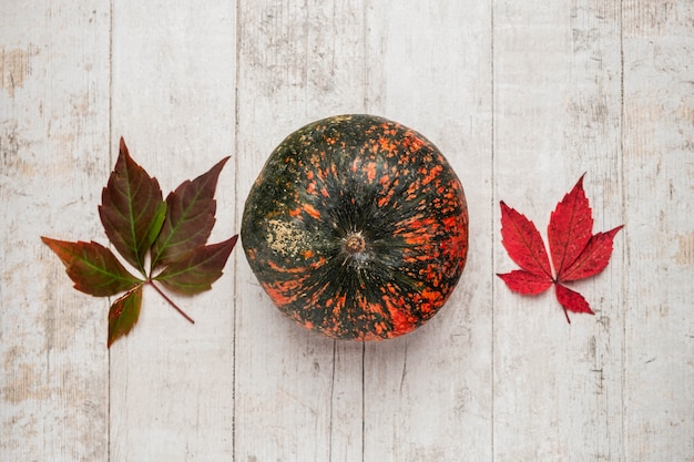 Citrouille et feuilles d'automne