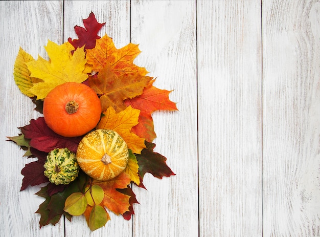 Citrouille et feuilles