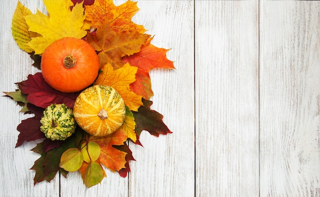 Citrouille et feuilles