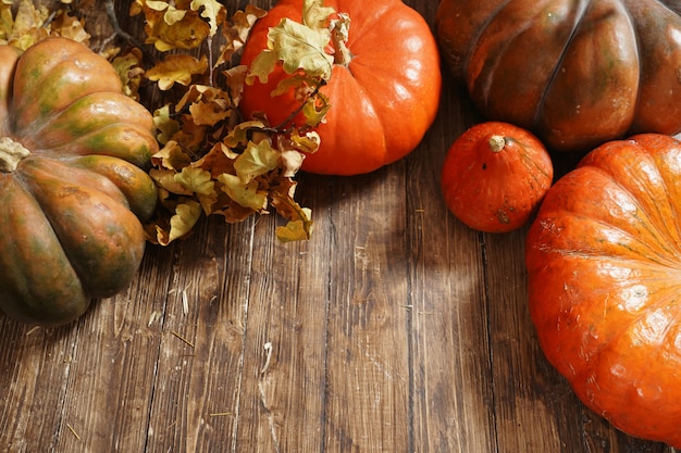 Citrouille sur fond en bois. automne nature morte de citrouille sur un plancher en bois marron. citrouille en gros plan du point haut.