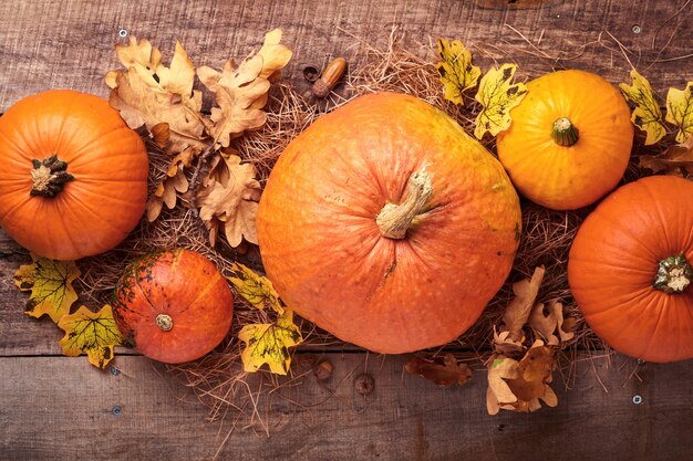 Citrouille. Fond de nourriture d'automne avec de la cannelle, des noix et des épices saisonnières sur fond rustique. Cuisson de la citrouille ou de la tarte aux pommes et des biscuits pour Thanksgiving et les vacances d'automne. Vue de dessus avec espace de copie.