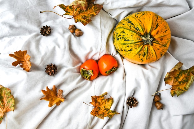 Citrouille sur fond de vêtements blancs. Récolte d'automne. Espace de copie. Kakis et feuilles. Fond d'automne